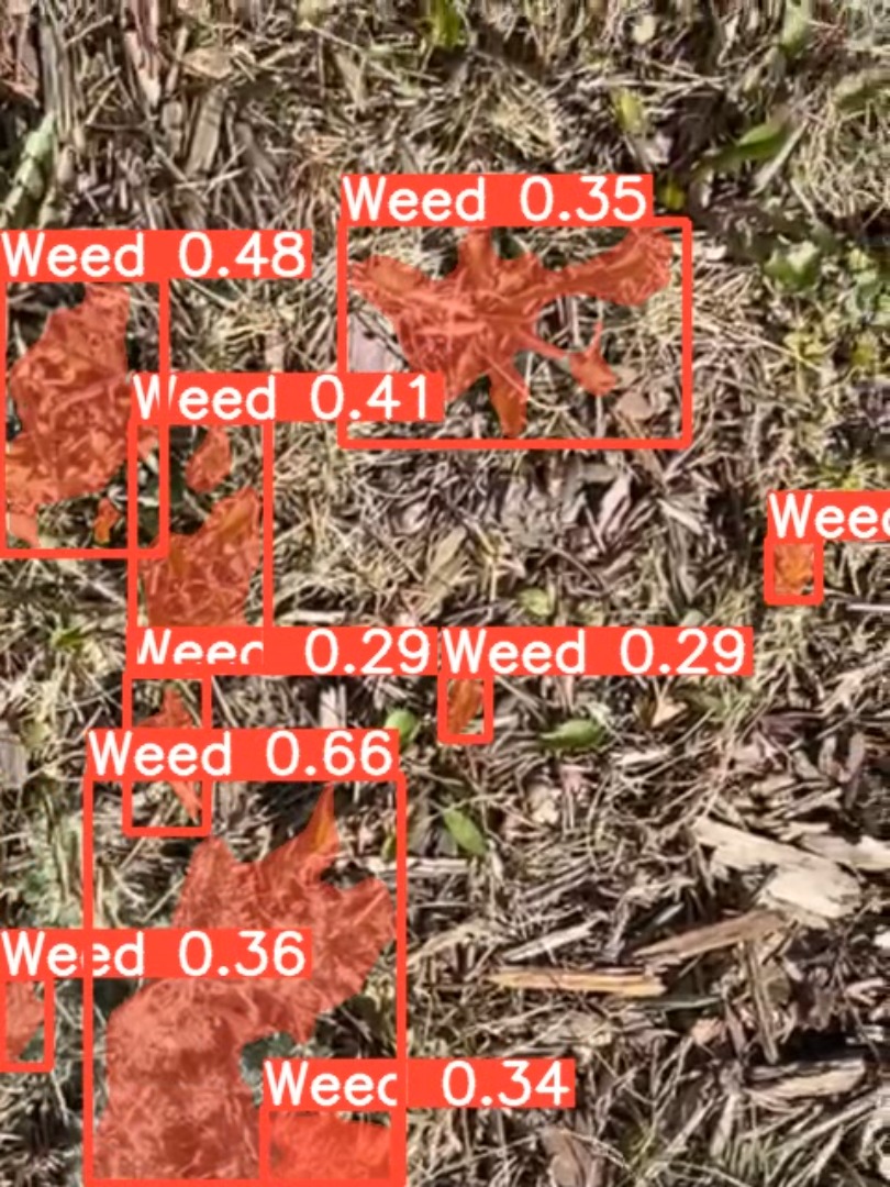 Video output screenshot 2